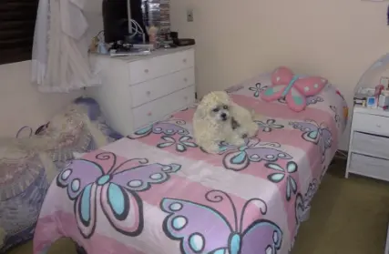 Imagem: Apartamento para Venda, Vila Carrão