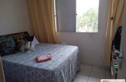 Imagem: Apartamento para Venda, Colônia (ZL)