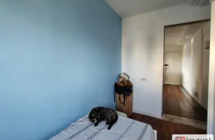 Imagem: Apartamento para Venda, Vila Ema