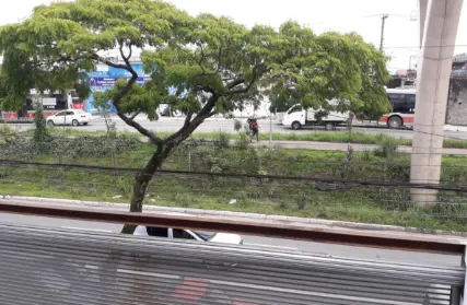 Imagem: Galpão / Salão para Alugar, Parque São Lourenço