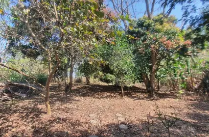 Imagem: Condomínio Fechado para Venda, Serra da Cantareira