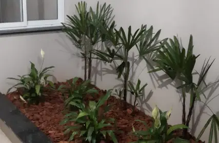 Imagem: Apartamento para Alugar, Vila Rosa