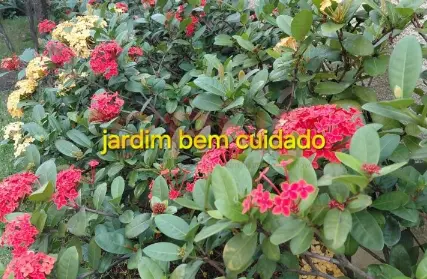 Imagem: Apartamento para Alugar, Imirim