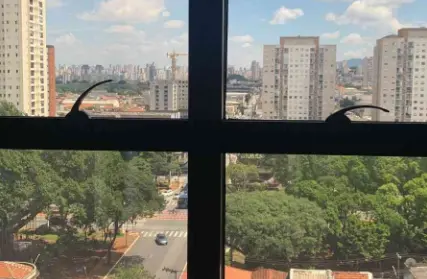 Imagem: Sala Comercial para Venda, Vila Maria