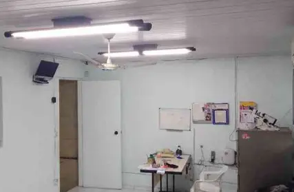 Imagem: Galpão / Salão para Alugar, Parque Novo Mundo