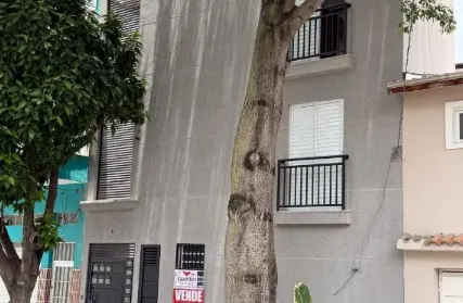 Imagem: Apartamento para Venda, Água Fria