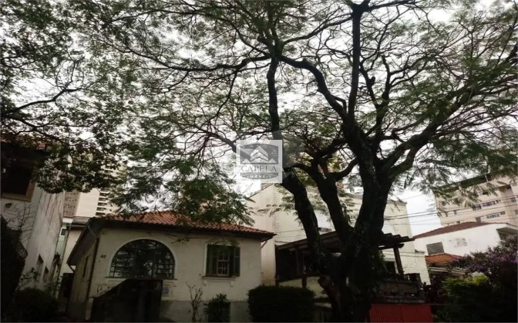 Terreno para Venda ZN Imóvel - Imagem 6