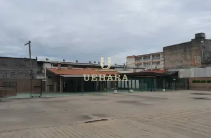 Imagem: Apartamento para Alugar, Limão