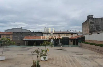 Imagem: Apartamento para Alugar, Limão