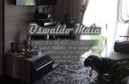 Imagem: Apartamento para Venda, Vila Amália (Zona Norte)