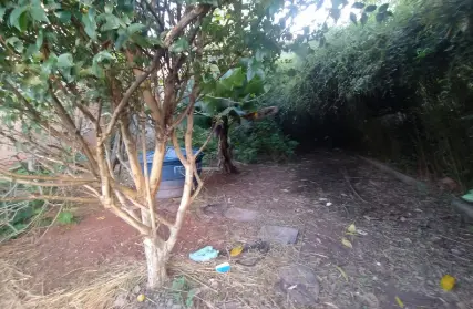 Imagem: Casa Térrea para Venda, Limão