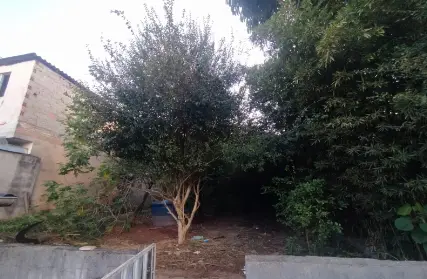 Imagem: Casa Térrea para Venda, Limão