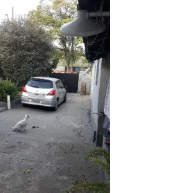 Imagem: Casa Térrea para Venda, Horto Florestal