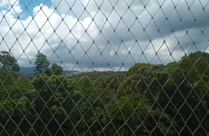 Imagem: Apartamento para Venda, Horto Florestal