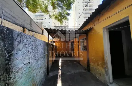 Imagem: Casa Térrea para Alugar, Jardim Japão