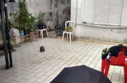 Imagem: Imóvel para Renda para Venda, Vila Medeiros