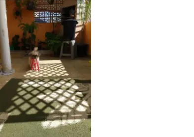 Imagem: Imóvel para Renda para Venda, Vila Ede