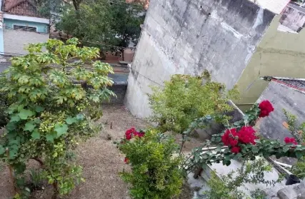 Imagem: Imóvel para Renda para Venda, Vila Ede