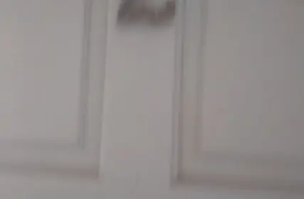 Imagem: Casa Térrea para Alugar, Vila Maria Alta