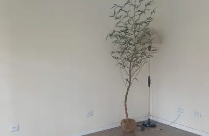 Imagem: Apartamento para Alugar, Parada Inglesa