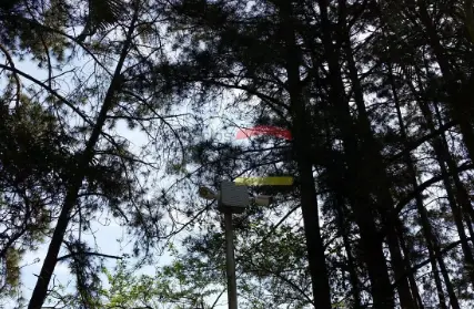 Imagem: Terreno para Venda, Serra da Cantareira