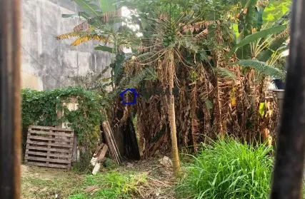 Imagem: Terreno para Venda, Jardim Peri