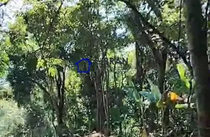 Imagem: Terreno para Venda, Serra da Cantareira