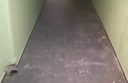 Imagem: Casa Térrea para Alugar, Tucuruvi