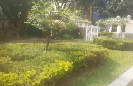 Imagem: Apartamento para Alugar, Vila Guilherme