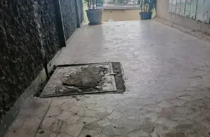 Imagem: Casa Térrea para Alugar, Vila Celeste (Zona Norte)