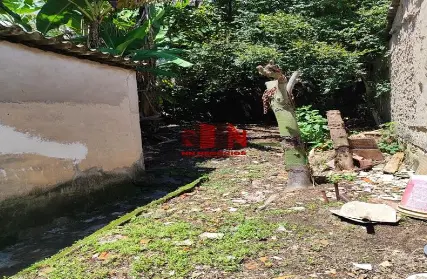 Imagem: Casa Térrea para Alugar, Parque Mandaqui