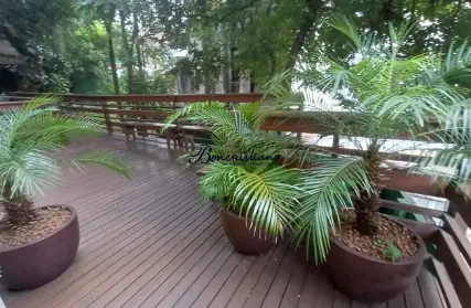 Imagem: Apartamento para Venda, Vila Paulicéia