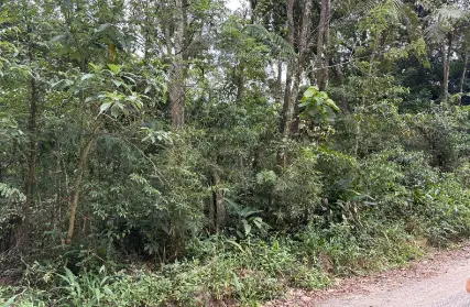 Imagem: Terreno para Venda, Serra da Cantareira