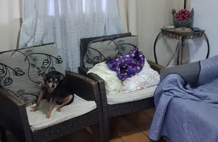 Imagem: Casa Térrea para Venda, Imirim