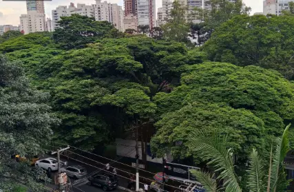 Imagem: Apartamento para Alugar, Santana