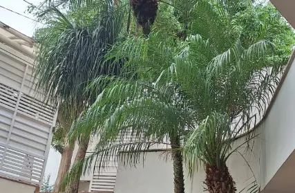 Imagem: Sobrado para Venda, Barro Branco (Zona Norte)