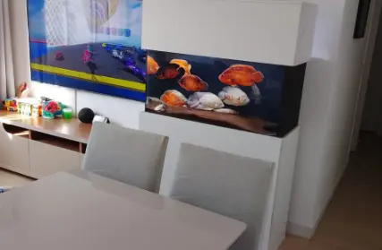 Imagem: Apartamento para Venda, Jaçanã