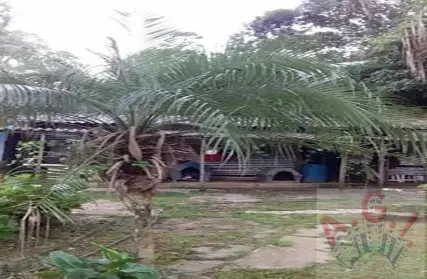 Imagem: Chácara / Sítio para Venda, Serra da Cantareira