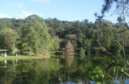 Imagem: Terreno para Venda, Serra da Cantareira