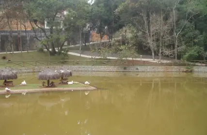 Imagem: Terreno para Venda, Serra da Cantareira
