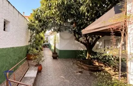 Imagem: Casa Térrea para Alugar, Vila Vitório Mazzei
