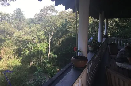 Imagem: Casa Térrea para Venda, Serra da Cantareira