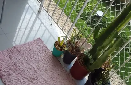 Imagem: Apartamento para Venda, Jaçanã