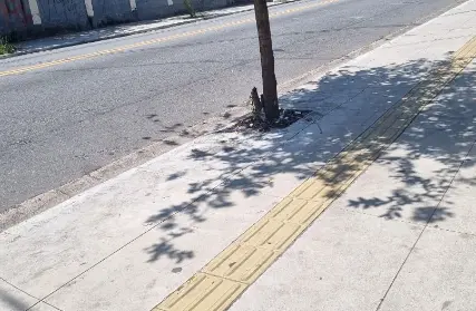 Imagem: Galpão / Salão para Alugar, Jaçanã