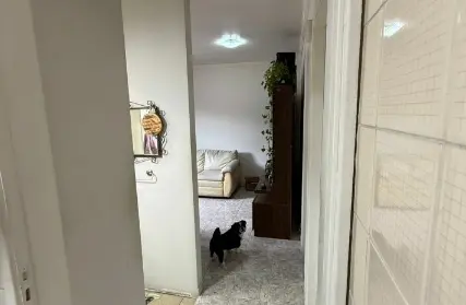 Imagem: Apartamento para Venda, Jardim Martins Silva