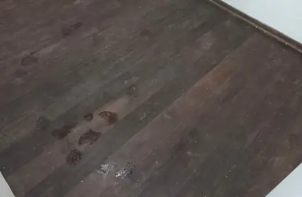 Imagem: Apartamento para Alugar, Jova Rural