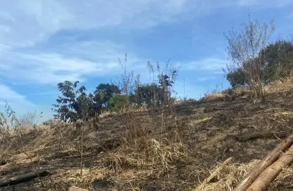 Imagem: Terreno para Venda, Parque Edu Chaves