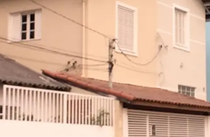 Imagem: Sobrado para Venda, Tucuruvi