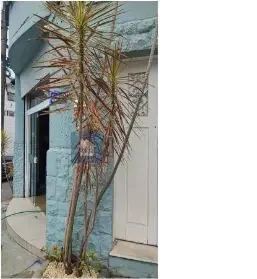 Imagem: Prédio Comercial para Venda, Santana