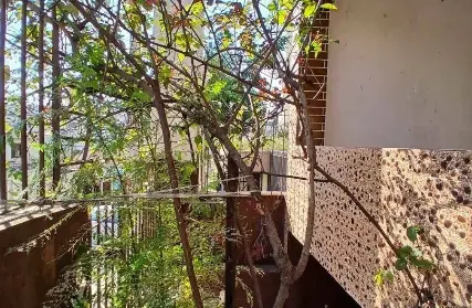 Imagem: Casa Térrea para Venda, Vila Mazzei